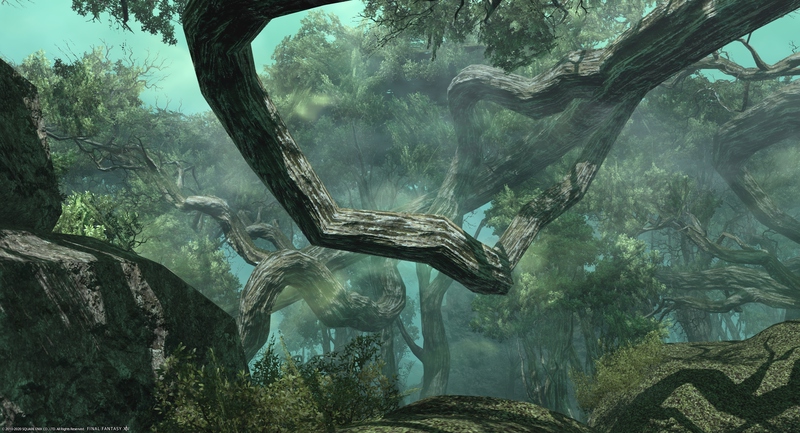 [FF14] ラケティカ大森林：特殊天候・霊風 (カバーイメージ)